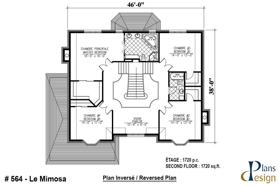 564 - Le Mimosa – Image 6