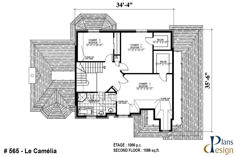 565 - Le Camélia – Image 3