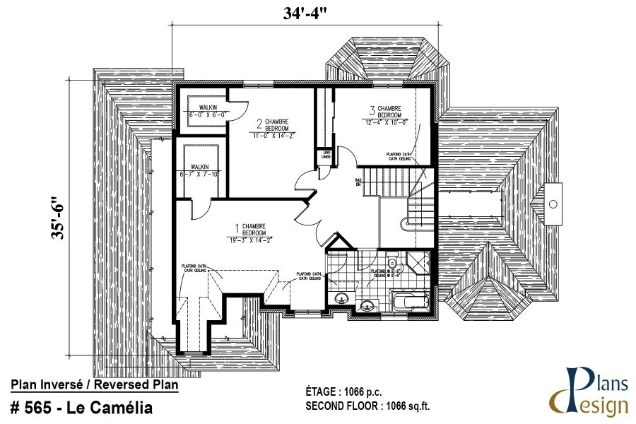 565 - Le Camélia – Image 6