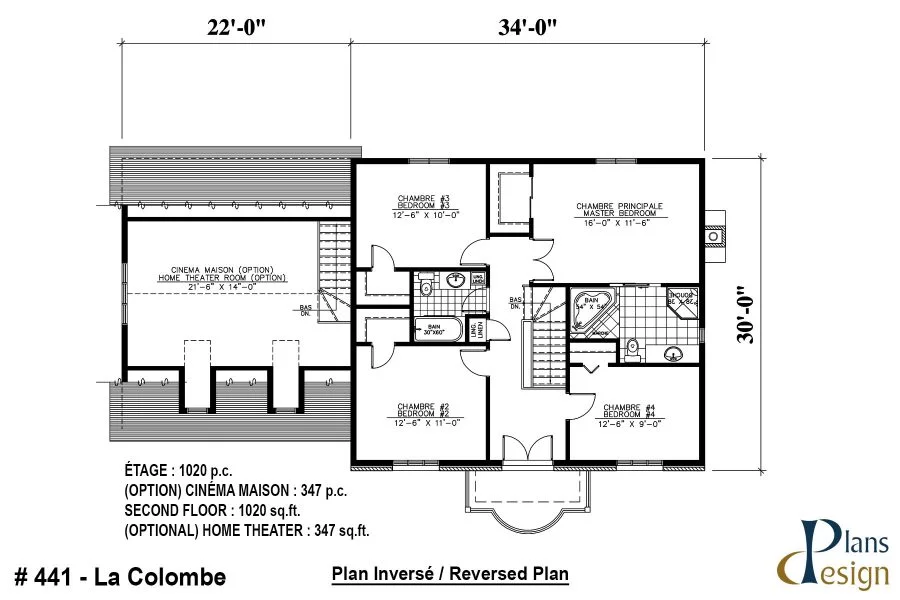 441 - La Colombe – Image 6